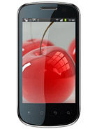 Best available price of Celkon A19 in Tonga