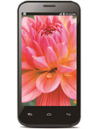 Best available price of Lava Iris 505 in Tonga