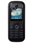 Best available price of Motorola W205 in Tonga