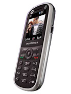Best available price of Motorola WX288 in Tonga