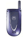 Best available price of Motorola V66i in Tonga